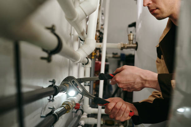 Best Plumbing Services Near Me  in Genoa City, WI
