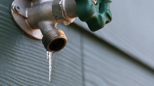 Best Drain Cleaning Services  in Genoa City, WI